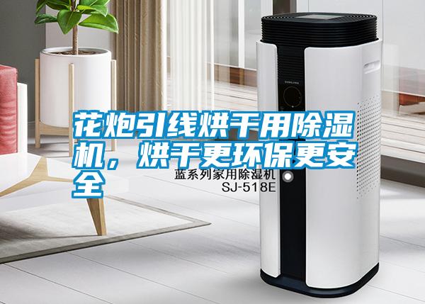 花炮引線烘干用除濕機(jī)，烘干更環(huán)保更安全