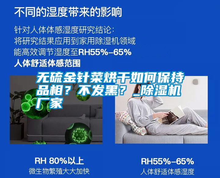 無硫金針菜烘干如何保持品相？不發(fā)黑？_除濕機(jī)廠家