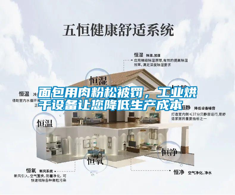 面包用肉粉松被罰，工業烘干設備讓您降低生產成本