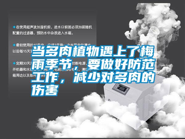 當多肉植物遇上了梅雨季節，要做好防范工作，減少對多肉的傷害