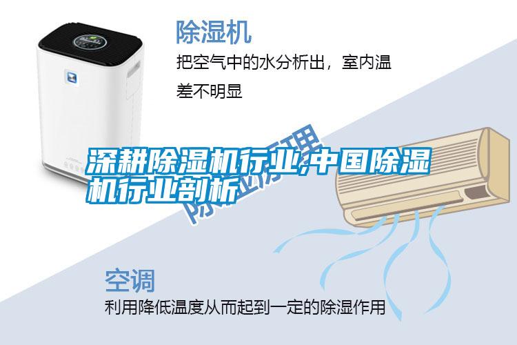 深耕除濕機(jī)行業(yè),中國(guó)除濕機(jī)行業(yè)剖析