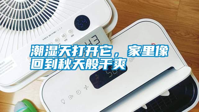 潮濕天打開它，家里像回到秋天般干爽