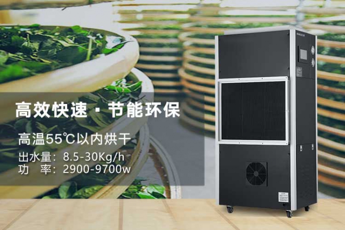 濕氣重的人，是不是更容易出汗？