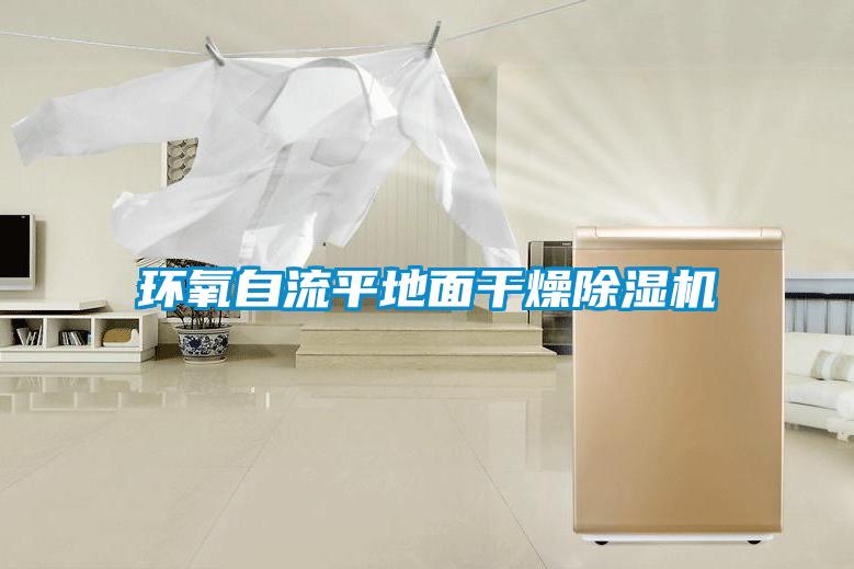 環(huán)氧自流平地面干燥除濕機