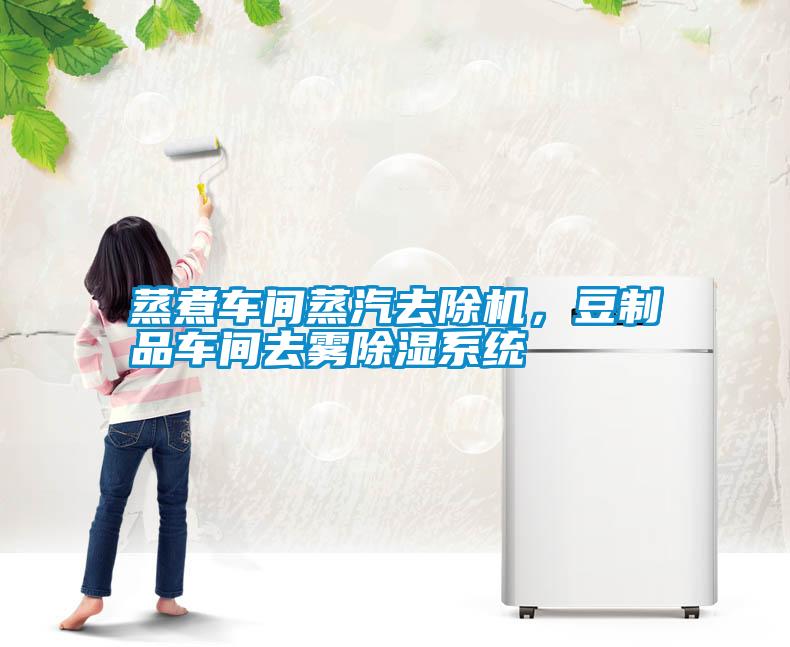 蒸煮車間蒸汽去除機，豆制品車間去霧除濕系統