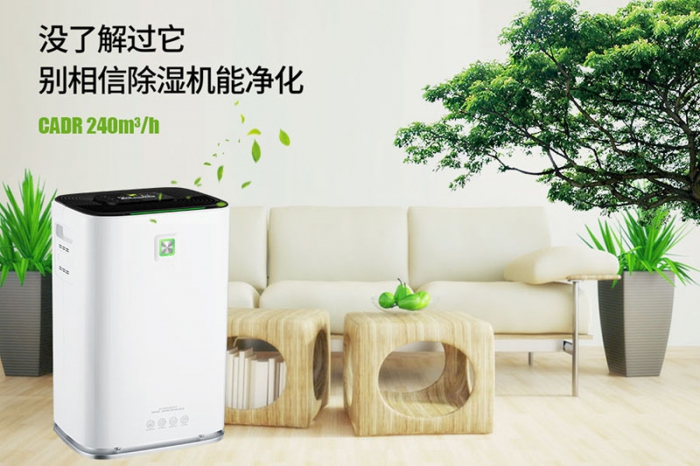 一到回南天狗狗就感冒+皮膚病，怎么辦？