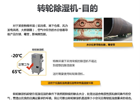貓糧防潮秘籍，貓糧如何儲存
