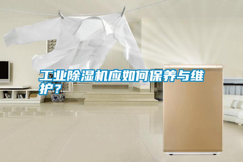 工業除濕機應如何保養與維護？
