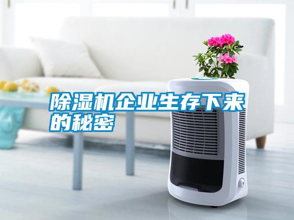 除濕機(jī)企業(yè)生存下來(lái)的秘密