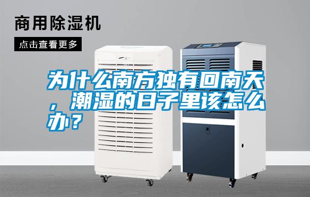 為什么南方獨有回南天，潮濕的日子里該怎么辦？