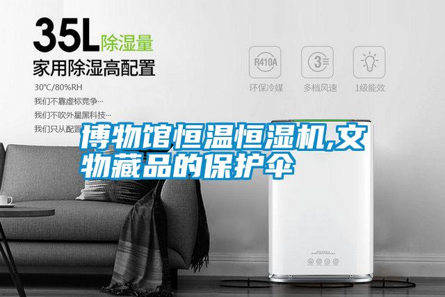 博物館恒溫恒濕機,文物藏品的保護(hù)傘