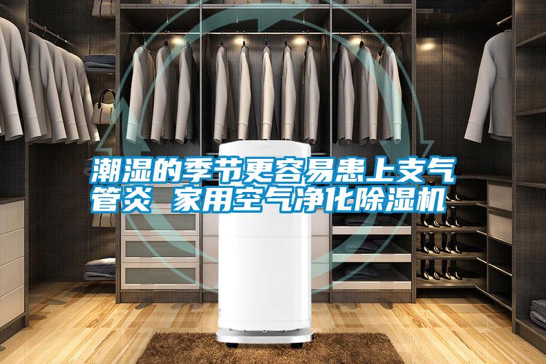 潮濕的季節(jié)更容易患上支氣管炎 家用空氣凈化除濕機(jī)