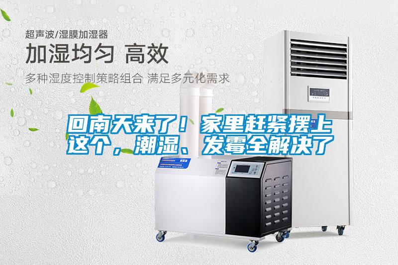 回南天來了！家里趕緊擺上這個，潮濕、發霉全解決了