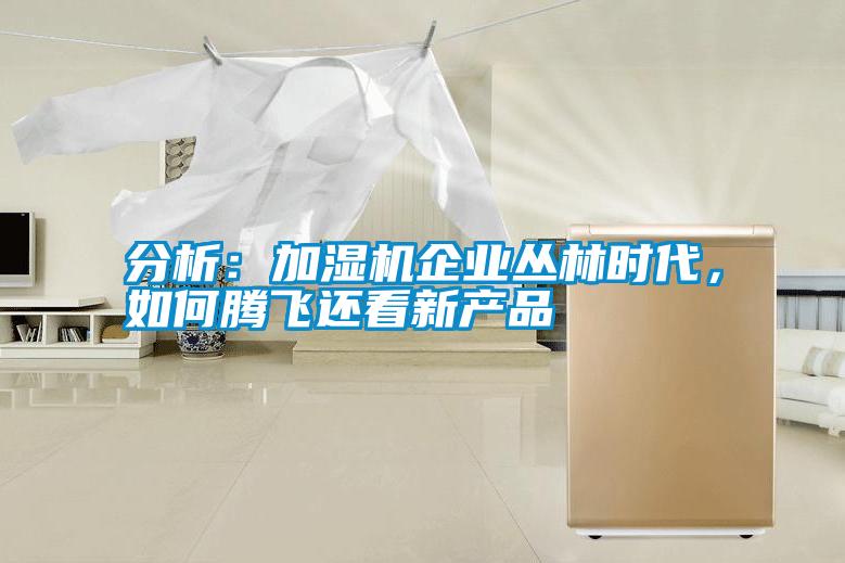 分析：加濕機企業(yè)叢林時代，如何騰飛還看新產(chǎn)品