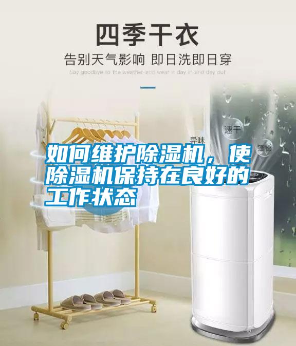 如何維護除濕機，使除濕機保持在良好的工作狀態