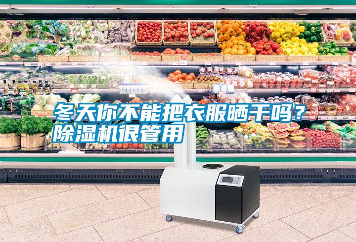 冬天你不能把衣服曬干嗎？除濕機(jī)很管用
