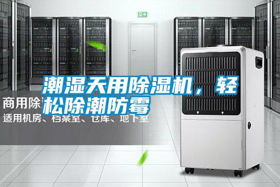 潮濕天用除濕機，輕松除潮防霉