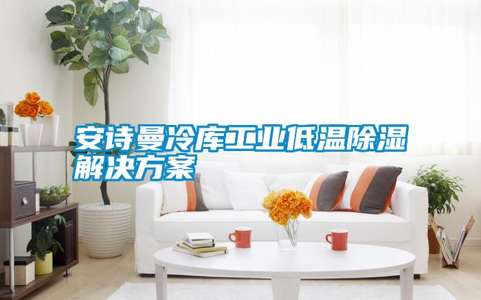 安詩(shī)曼冷庫(kù)工業(yè)低溫除濕解決方案