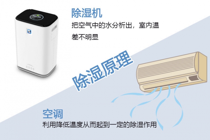 梅雨季——干燥，不止靠天分，還有實力