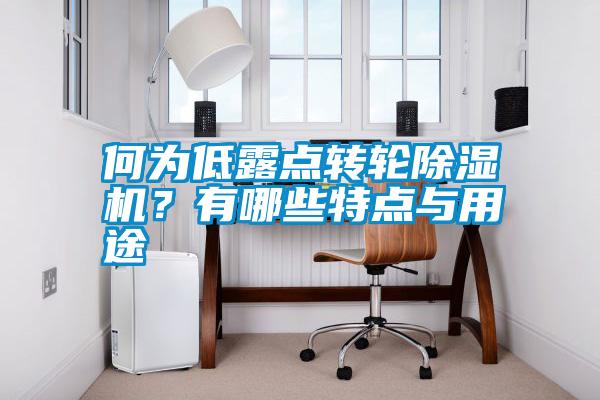 何為低露點轉輪除濕機？有哪些特點與用途