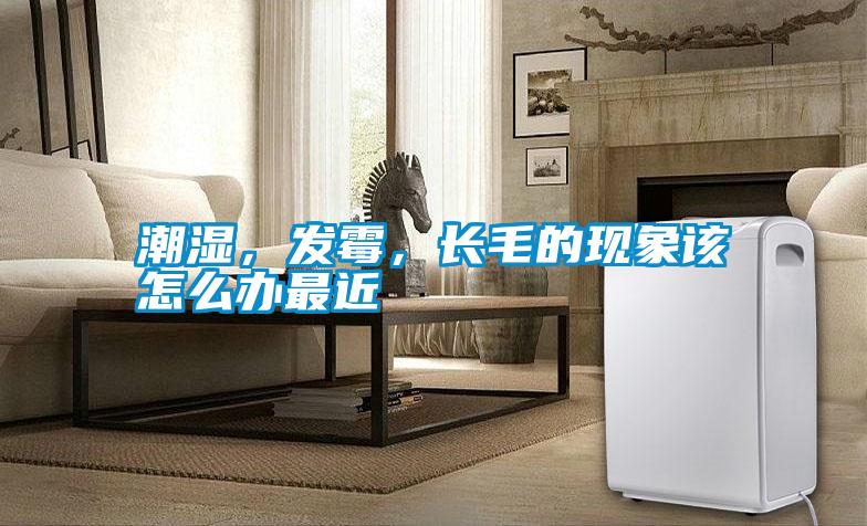 潮濕，發(fā)霉，長毛的現(xiàn)象該怎么辦最近