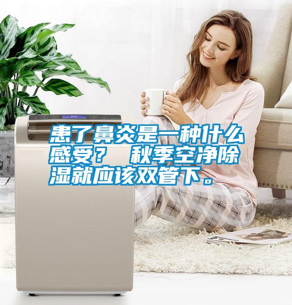 患了鼻炎是一種什么感受？ 秋季空凈除濕就應(yīng)該雙管下。