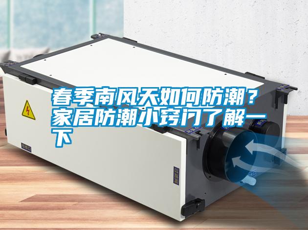 春季南風(fēng)天如何防潮？家居防潮小竅門(mén)了解一下