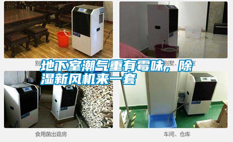 地下室潮氣重有霉味，除濕新風機來一套