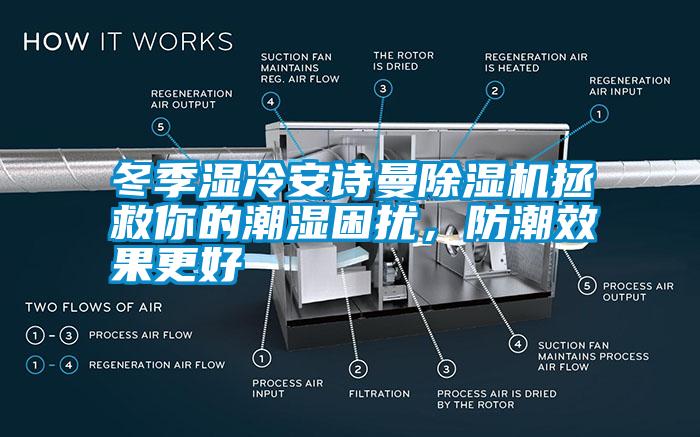 冬季濕冷安詩曼除濕機(jī)拯救你的潮濕困擾，防潮效果更好