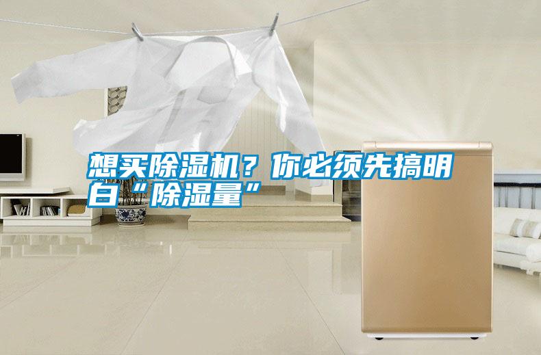想買除濕機？你必須先搞明白“除濕量”
