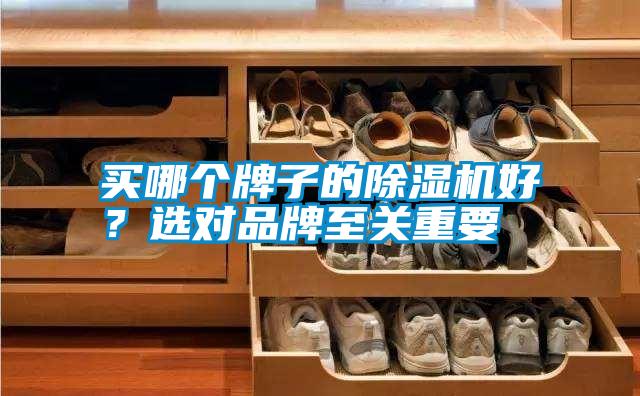 買哪個牌子的除濕機好？選對品牌至關重要