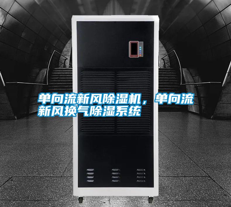 單向流新風除濕機，單向流新風換氣除濕系統