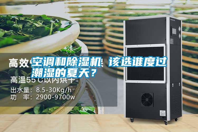 空調和除濕機 該選誰度過潮濕的夏天？