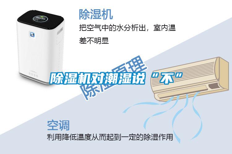 除濕機(jī)對(duì)潮濕說“不”