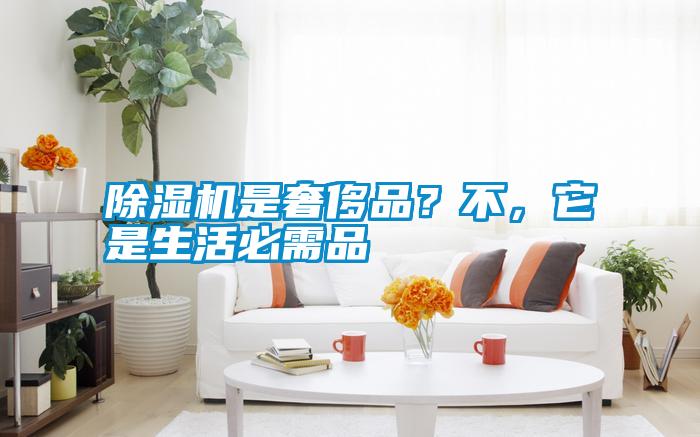 除濕機是奢侈品？不，它是生活必需品