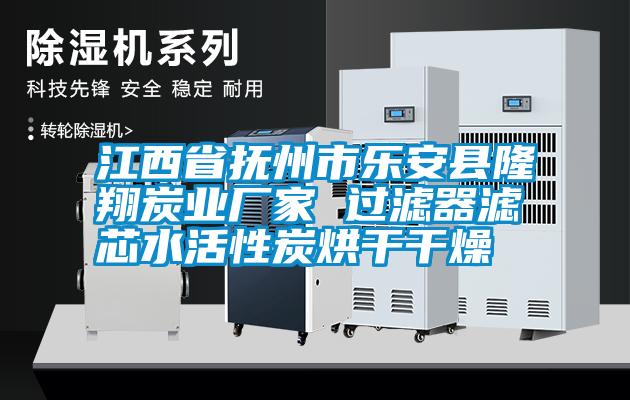 江西省撫州市樂(lè)安縣隆翔炭業(yè)廠家 過(guò)濾器濾芯水活性炭烘干干燥
