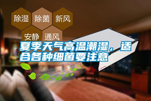 夏季天氣高溫潮濕，適合各種細菌要注意