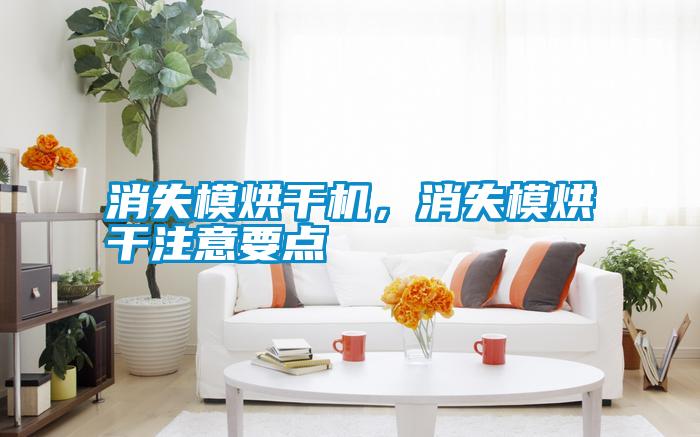 消失模烘干機(jī)，消失模烘干注意要點(diǎn)