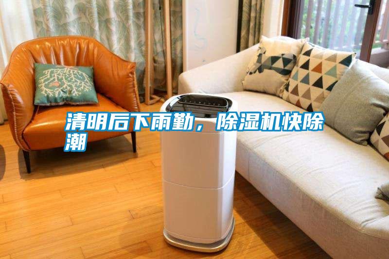 清明后下雨勤，除濕機快除潮