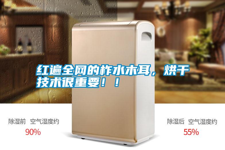 紅遍全網(wǎng)的柞水木耳，烘干技術(shù)很重要??！