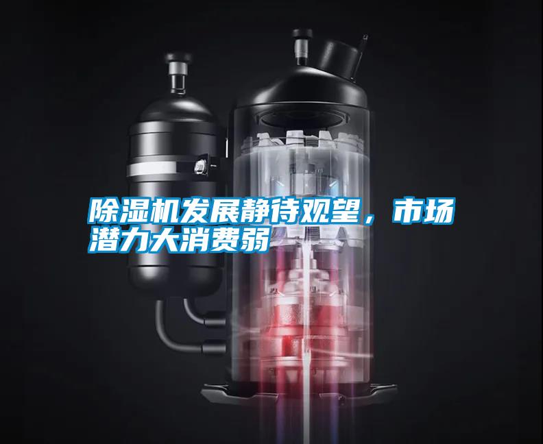 除濕機(jī)發(fā)展靜待觀望，市場潛力大消費(fèi)弱