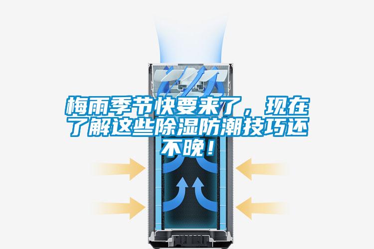 梅雨季節快要來了，現在了解這些除濕防潮技巧還不晚！