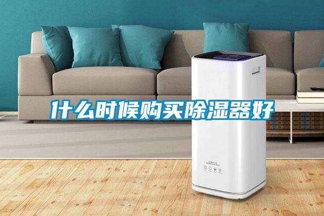 什么時(shí)候購買除濕器好