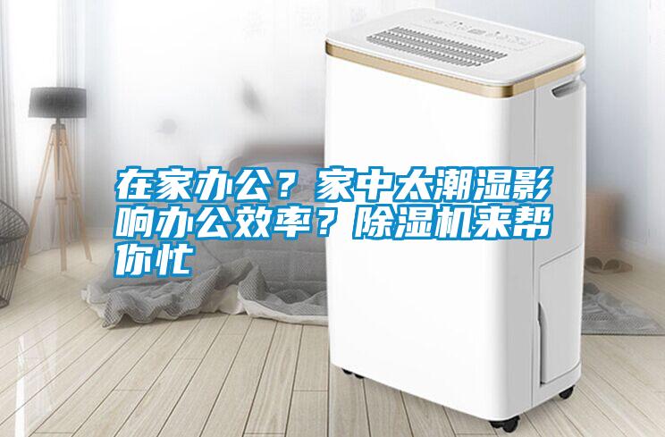 在家辦公？家中太潮濕影響辦公效率？除濕機來幫你忙
