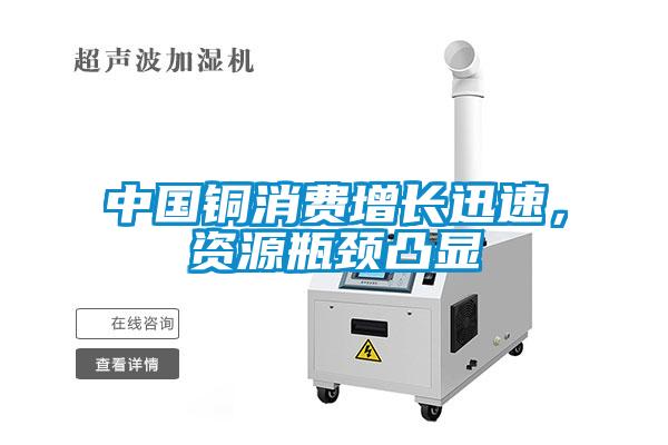 中國銅消費增長迅速，資源瓶頸凸顯