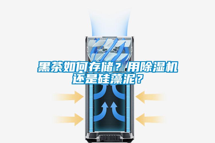 黑茶如何存儲？用除濕機(jī)還是硅藻泥？