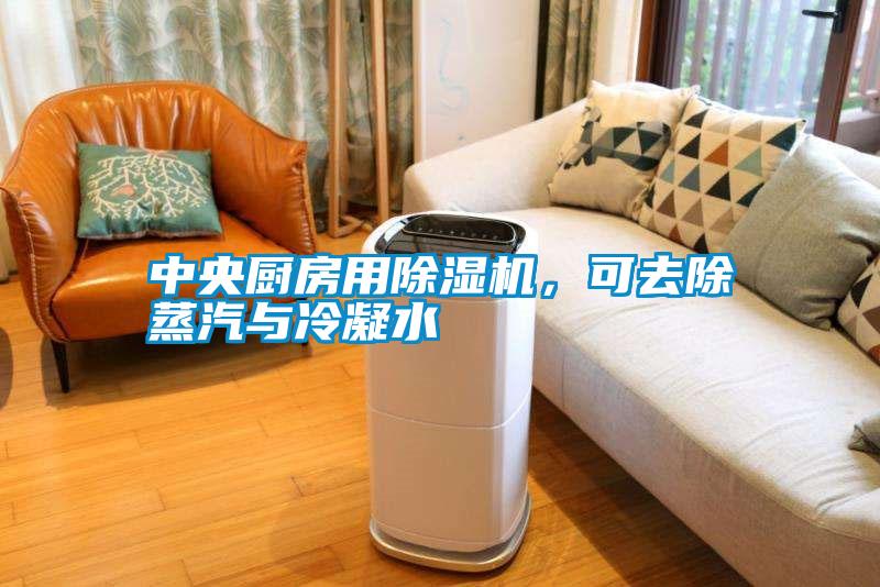 中央廚房用除濕機，可去除蒸汽與冷凝水