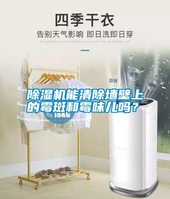除濕機能清除墻壁上的霉斑和霉味兒嗎？