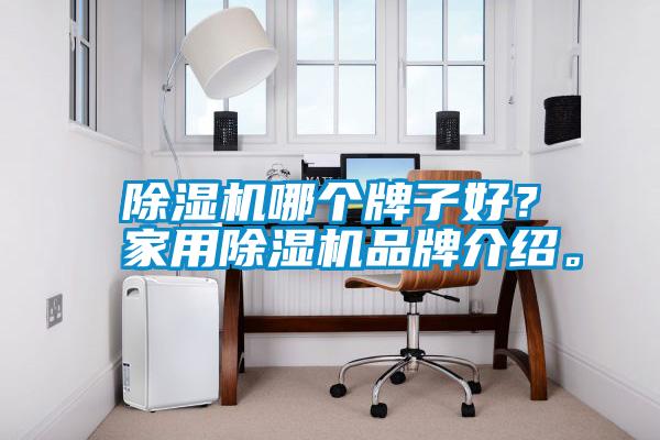 除濕機(jī)哪個(gè)牌子好？家用除濕機(jī)品牌介紹。