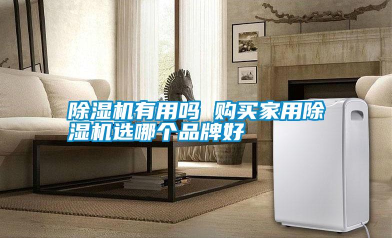 除濕機(jī)有用嗎 購買家用除濕機(jī)選哪個(gè)品牌好